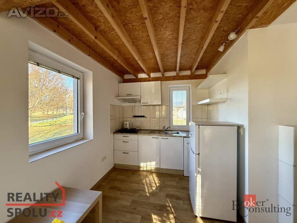 Foto inzerátu Pronájem atypického bytu 42 m²