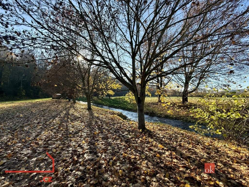 Foto inzerátu Pronájem atypického bytu 42 m²