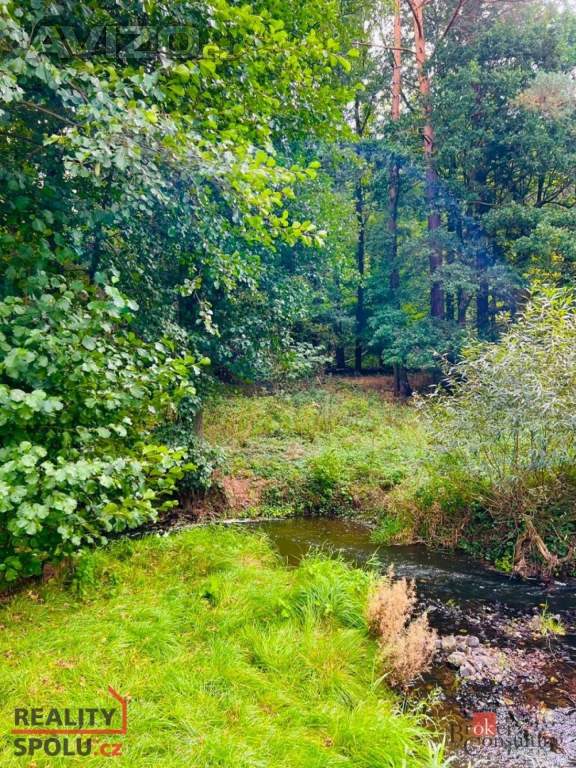 Foto inzerátu Prodej louky 1 277 m², Rybníky