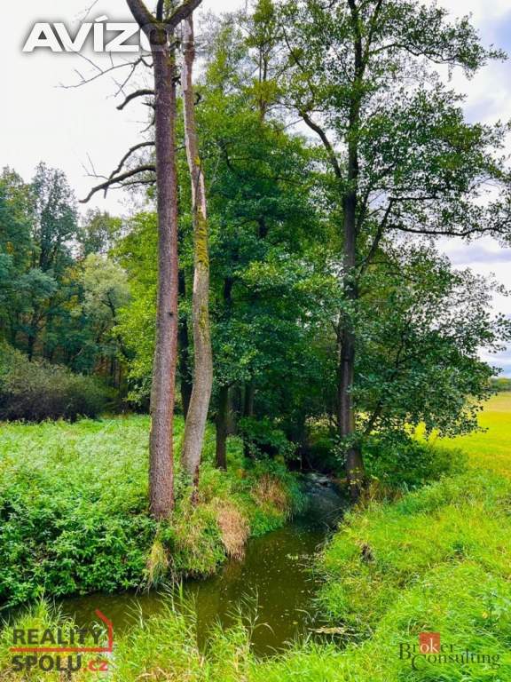 Foto inzerátu Prodej louky 1 277 m², Rybníky