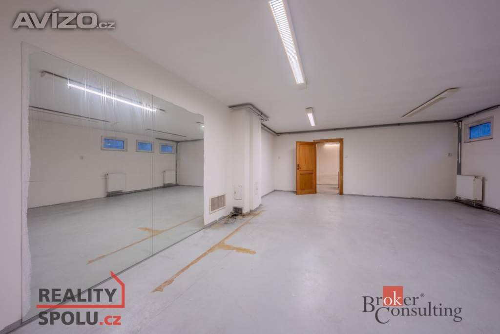 Foto inzerátu Pronájem vily 369 m², Dolní Břežany