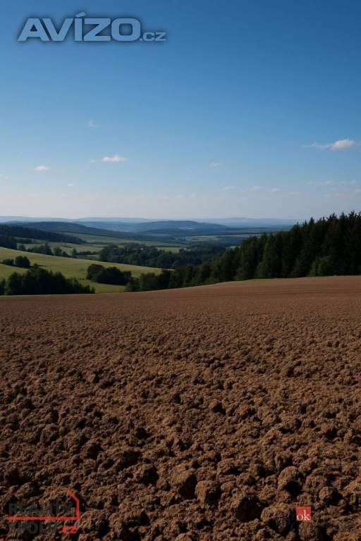 Prodej pole 54 810 m², Bohdašín