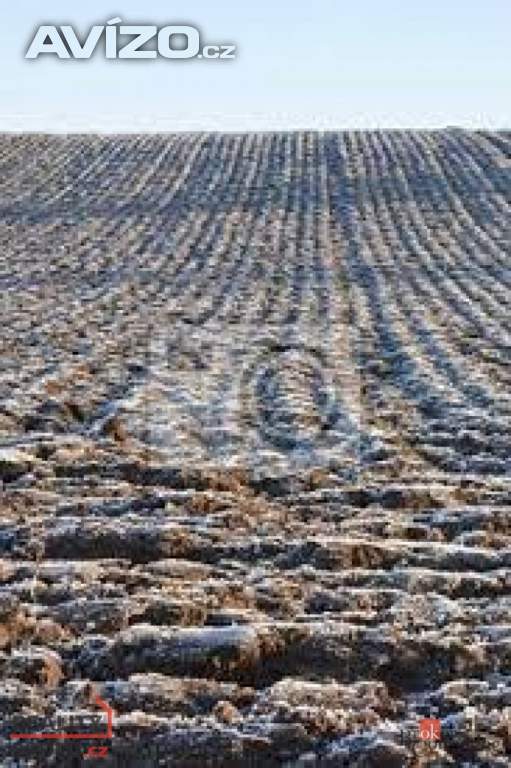 Foto inzerátu Prodej pole 54 810 m², Bohdašín