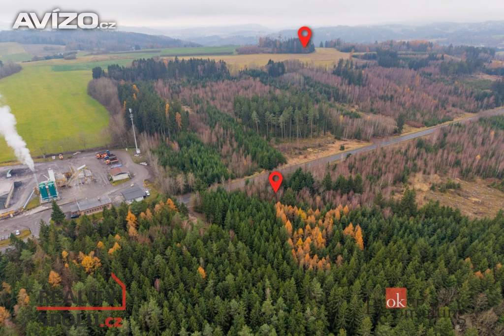 Prodej lesa 5 425 m², Radčice