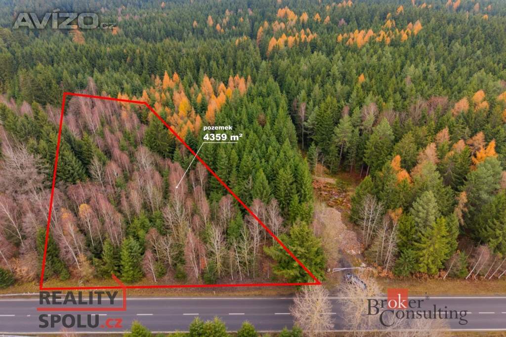 Foto inzerátu Prodej lesa 5 425 m², Radčice