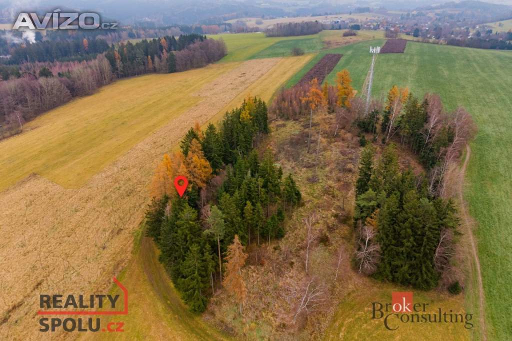 Foto inzerátu Prodej lesa 5 425 m², Radčice