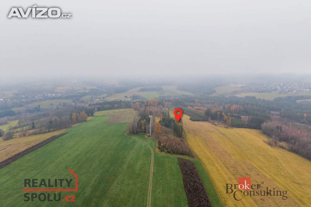 Foto inzerátu Prodej lesa 5 425 m², Radčice