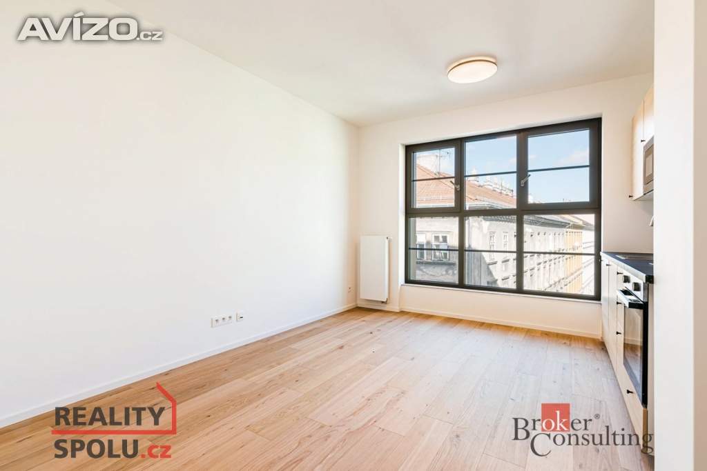 Pronájem bytu 1+kk 24 m², Brno