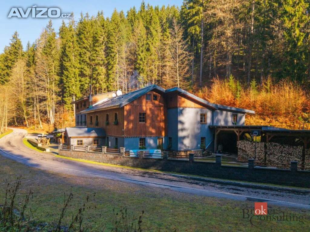 Prodej nemovitosti pro ubytování 650 m², Strážné