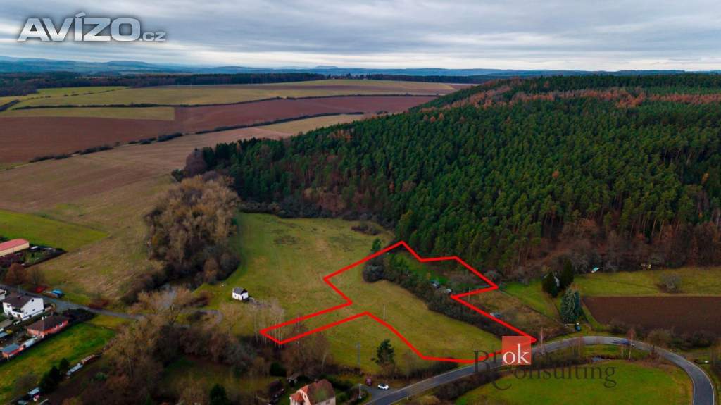 Foto inzerátu Prodej stavebního pozemku 7 000 m², Plasy