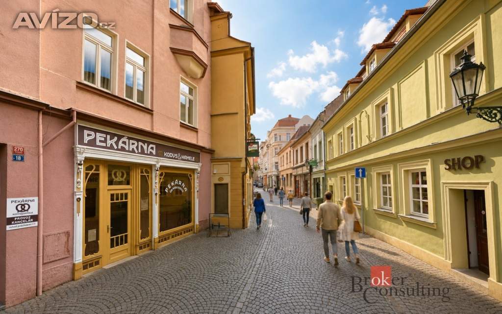 Foto inzerátu Prodej památky 499 m², Litoměřice