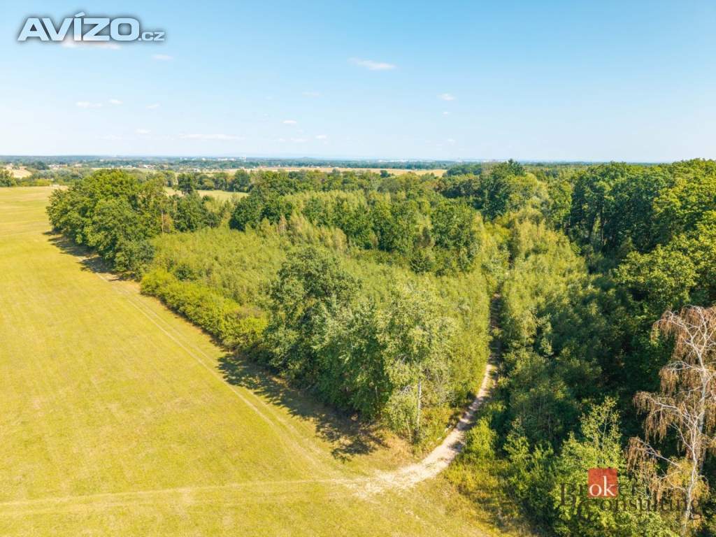 Prodej lesa 37 347 m², Pardubice