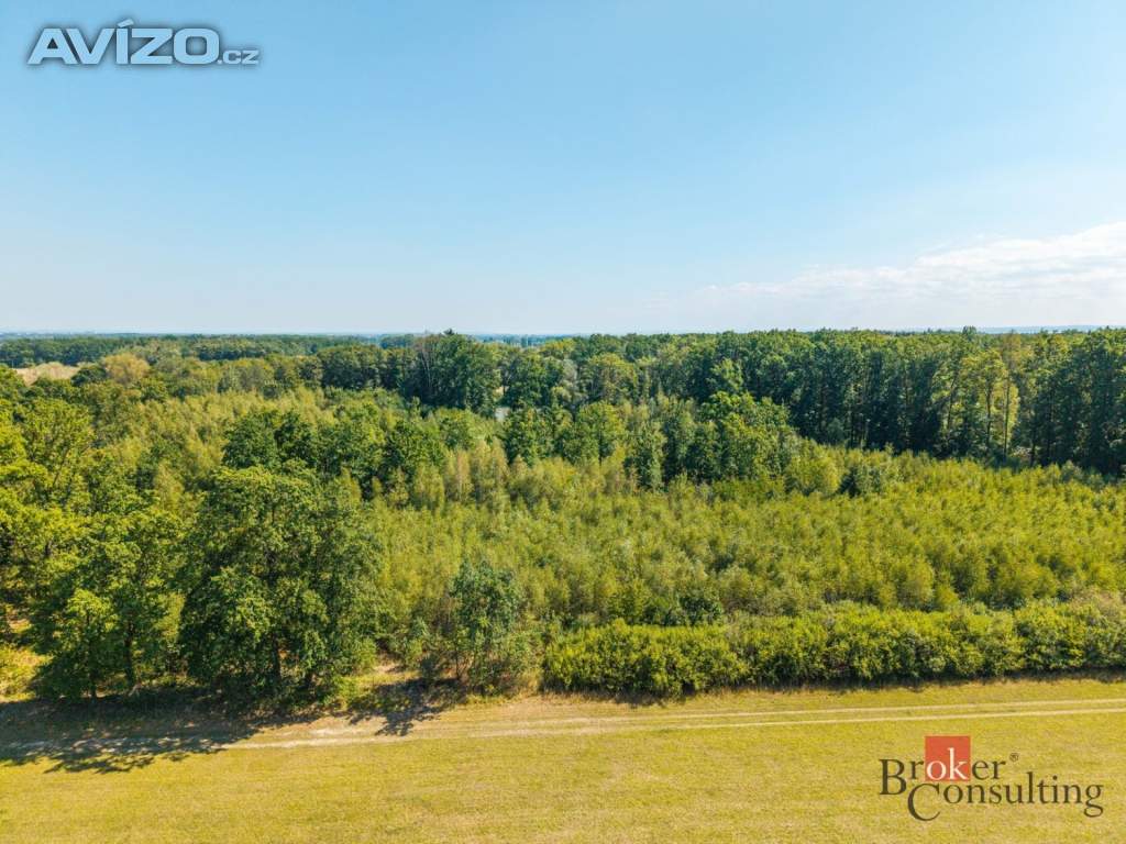 Foto inzerátu Prodej lesa 37 347 m², Pardubice