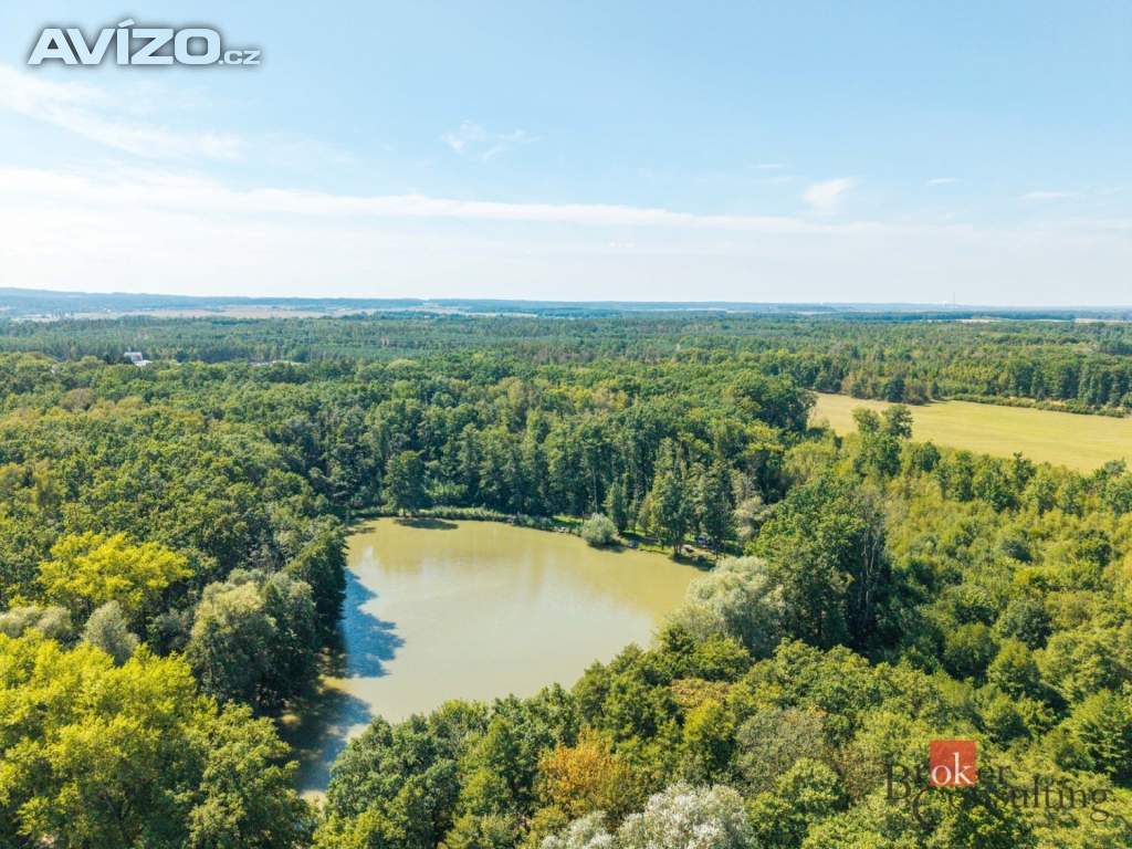 Foto inzerátu Prodej lesa 37 347 m², Pardubice