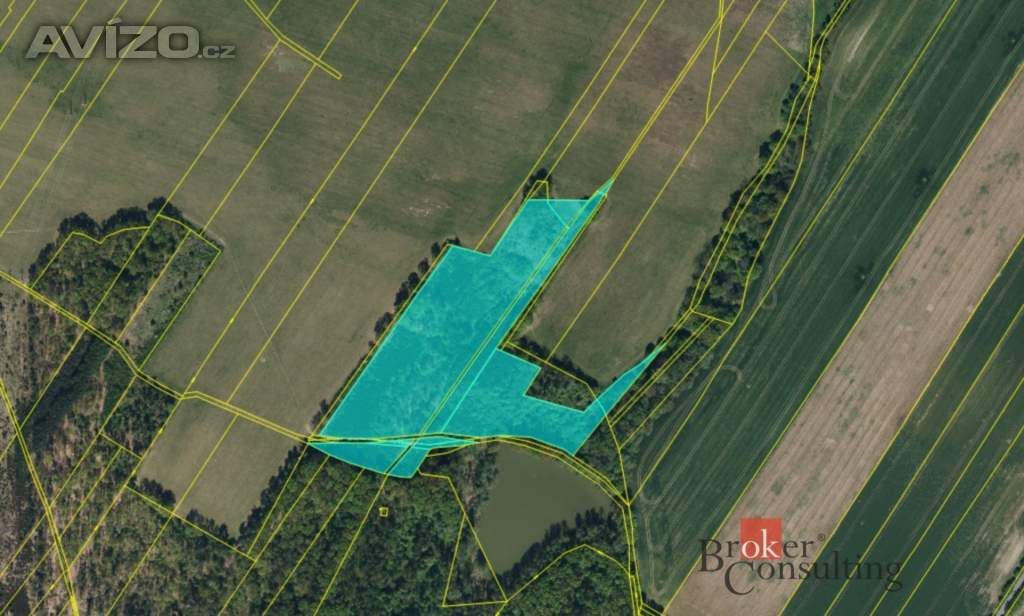 Foto inzerátu Prodej lesa 37 347 m², Pardubice