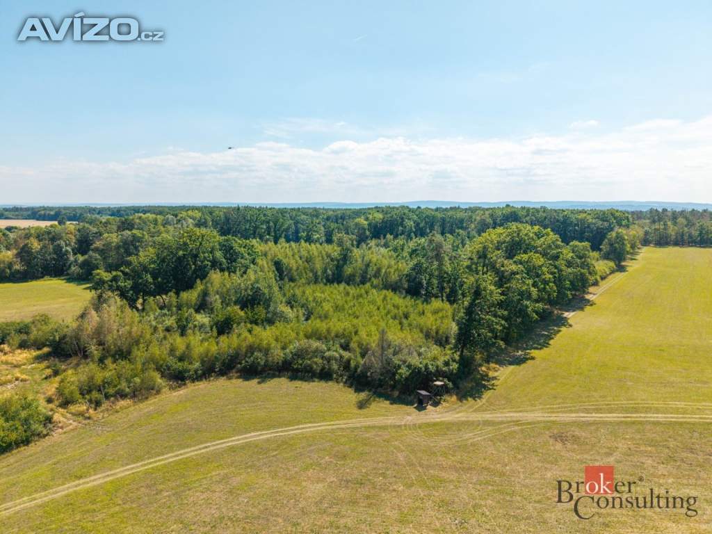 Foto inzerátu Prodej lesa 37 347 m², Pardubice