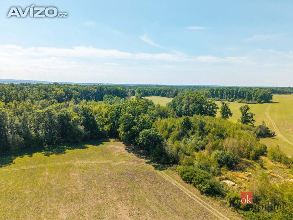 Foto inzerátu Prodej lesa 37 347 m², Pardubice