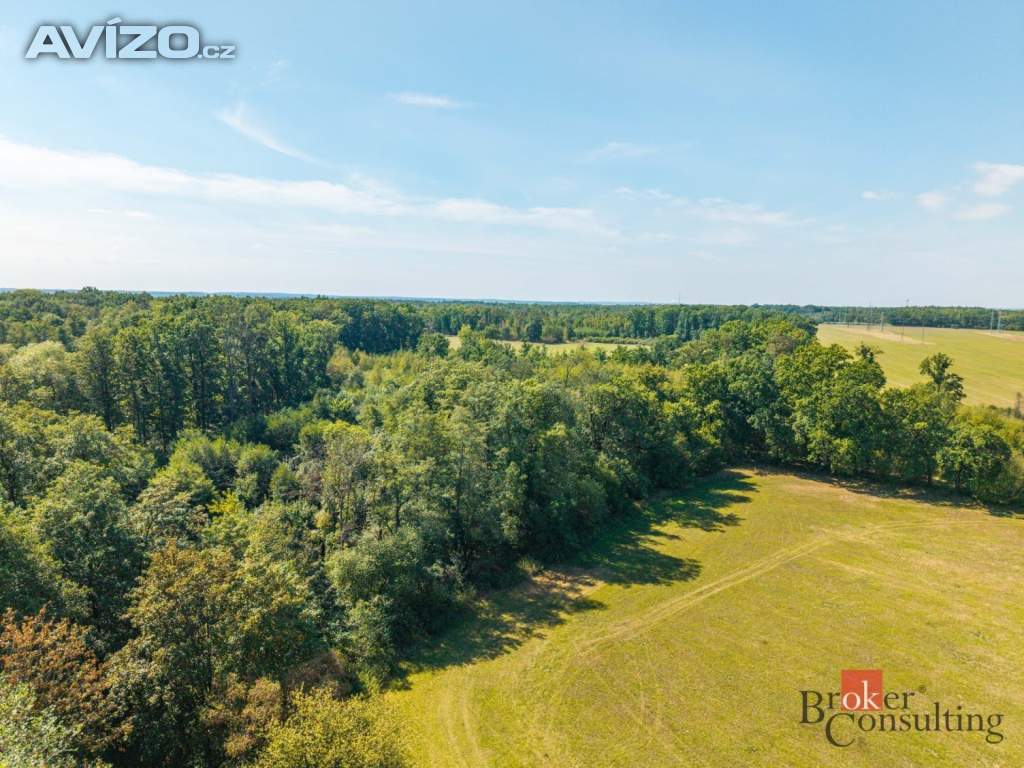 Foto inzerátu Prodej lesa 37 347 m², Pardubice