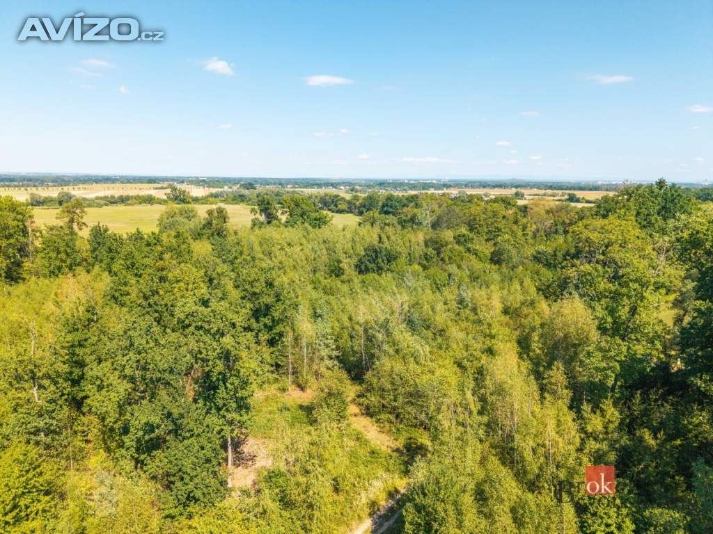 Foto inzerátu Prodej lesa 37 347 m², Pardubice