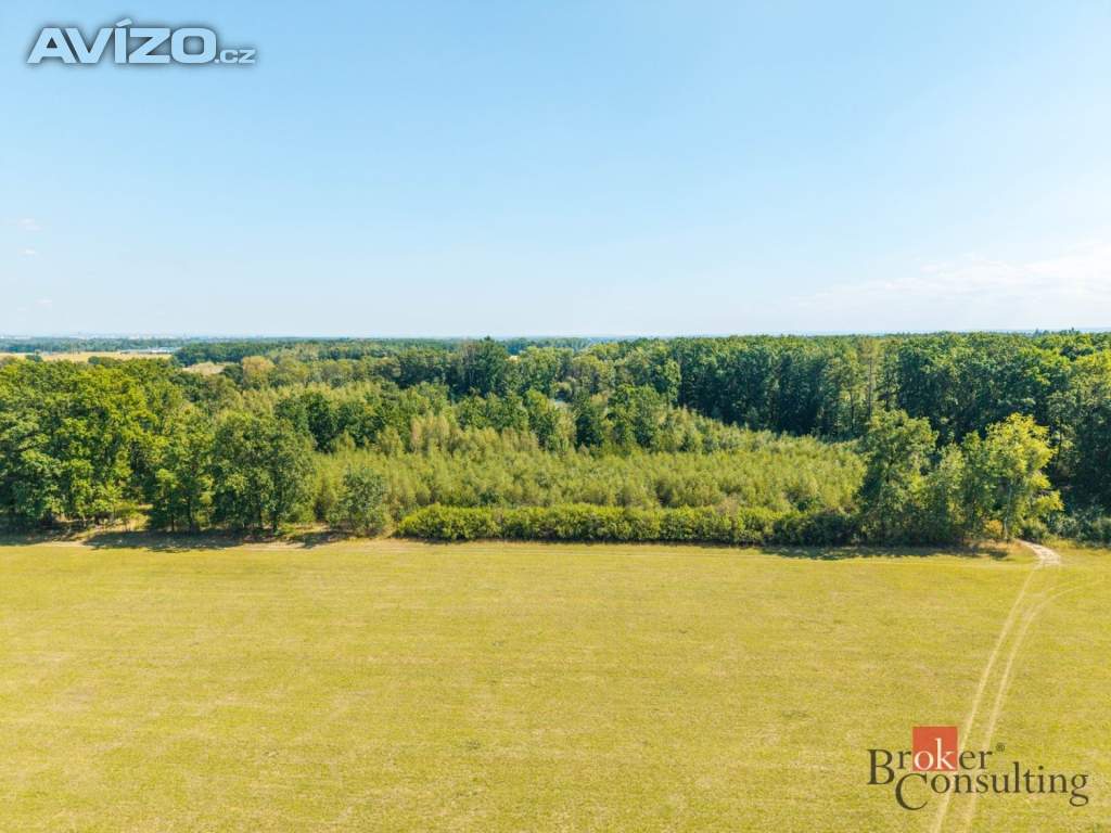 Foto inzerátu Prodej lesa 37 347 m², Pardubice