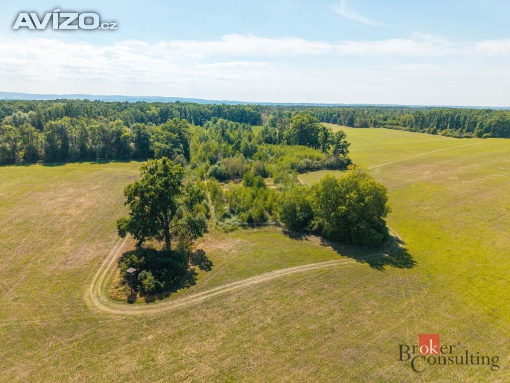 Foto inzerátu Prodej lesa 37 347 m², Pardubice
