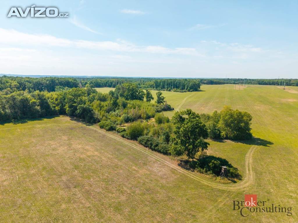 Foto inzerátu Prodej lesa 37 347 m², Pardubice