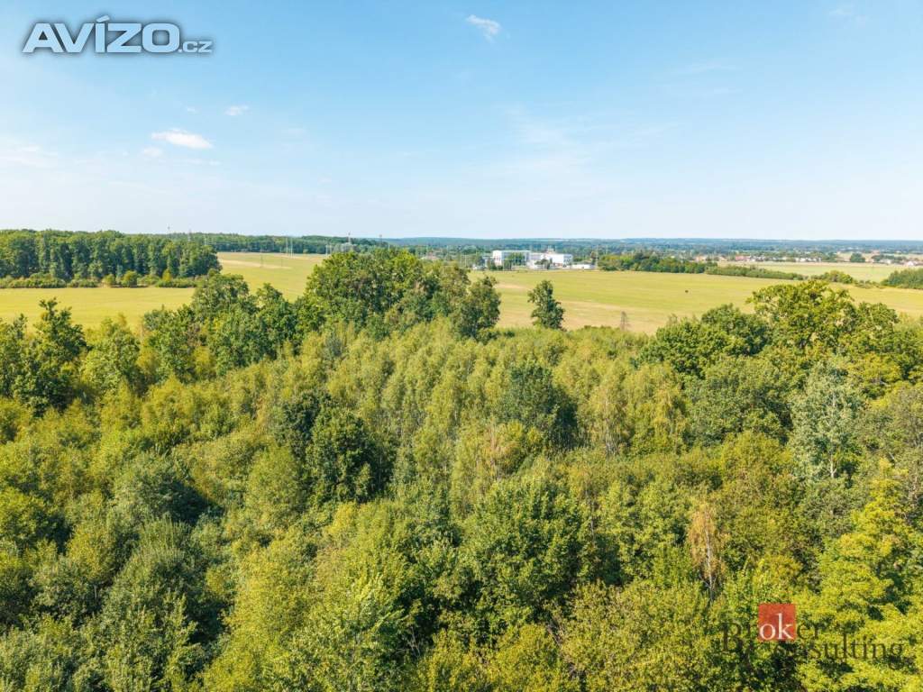 Foto inzerátu Prodej lesa 37 347 m², Pardubice