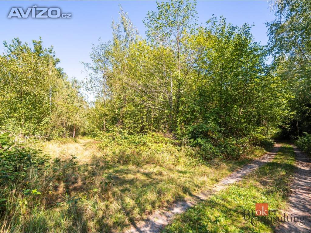 Foto inzerátu Prodej lesa 37 347 m², Pardubice