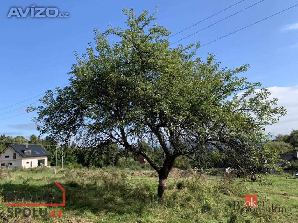 Foto inzerátu Prodej stavebního pozemku 4 351 m², Svojkov