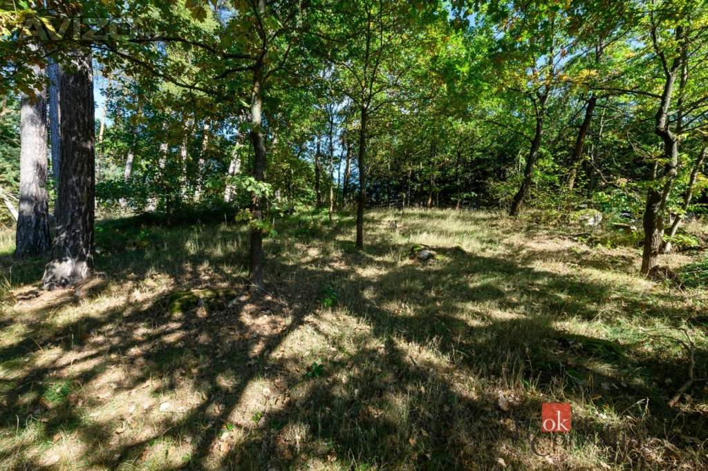 Foto inzerátu Prodej rodinného domu 240 m², Olšany