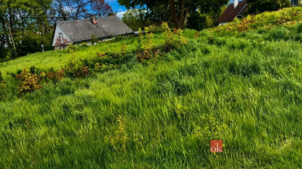 Foto inzerátu Prodej stavebního pozemku 2 994 m², Častolovice