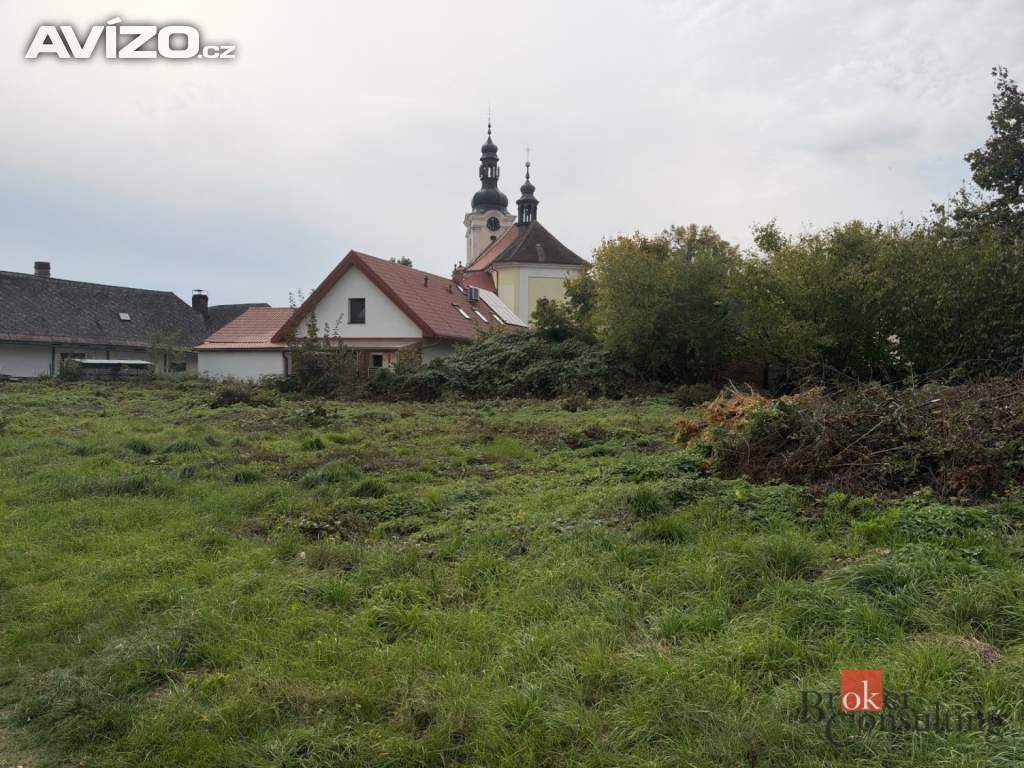 Foto inzerátu Prodej stavebního pozemku 2 994 m², Častolovice