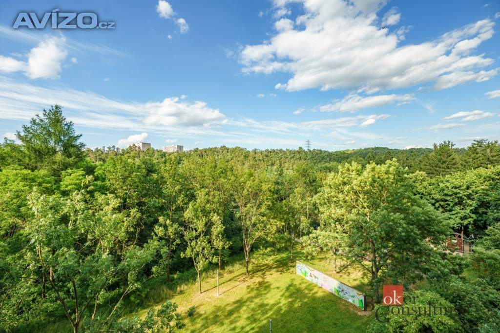 Foto inzerátu Pronájem bytu 3+1 76 m², Praha