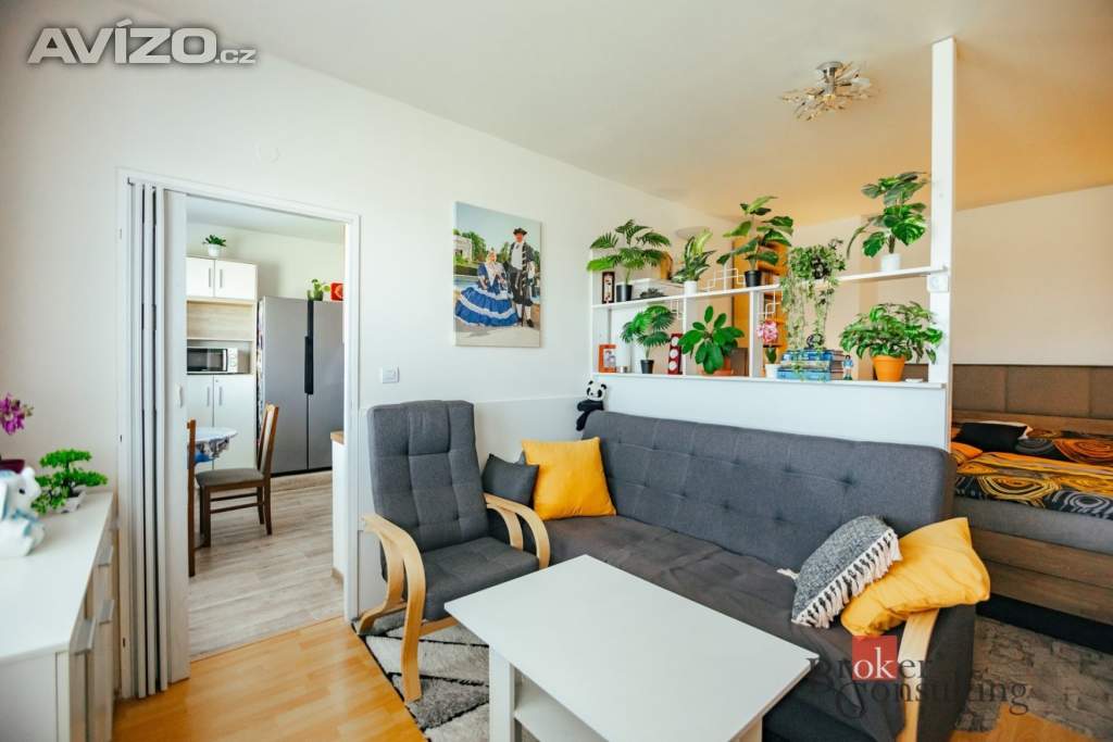 Foto inzerátu Prodej bytu 2+1 60 m², Opočno