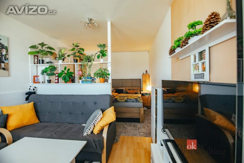Foto inzerátu Prodej bytu 2+1 60 m², Opočno