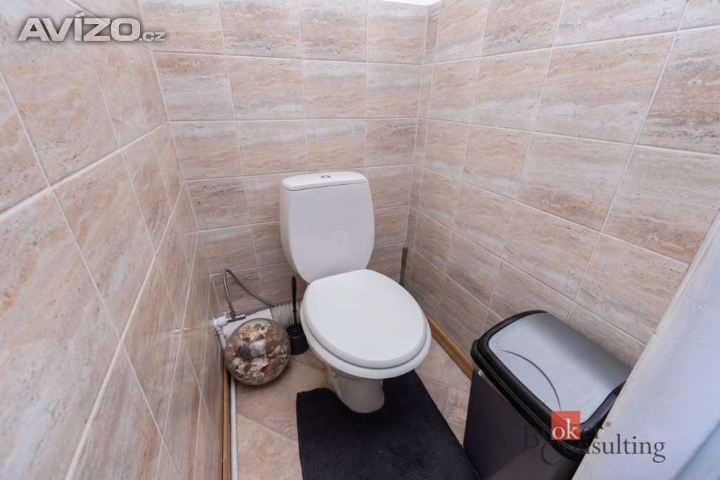 Foto inzerátu Prodej bytu 1+1 42 m², Zabrušany