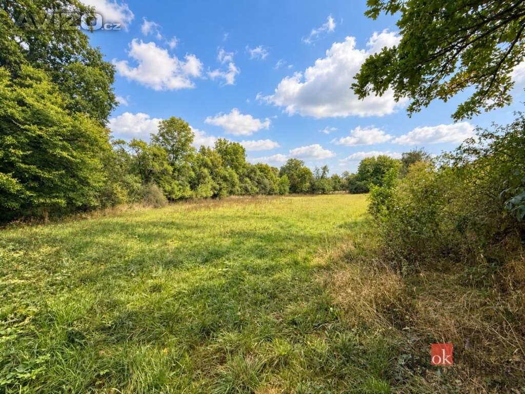Foto inzerátu Prodej stavebního pozemku 8 750 m², Krhov