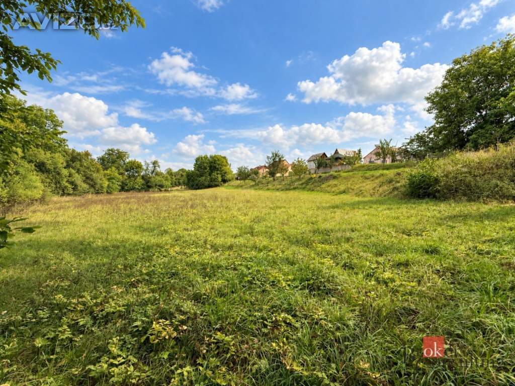 Foto inzerátu Prodej stavebního pozemku 8 750 m², Krhov