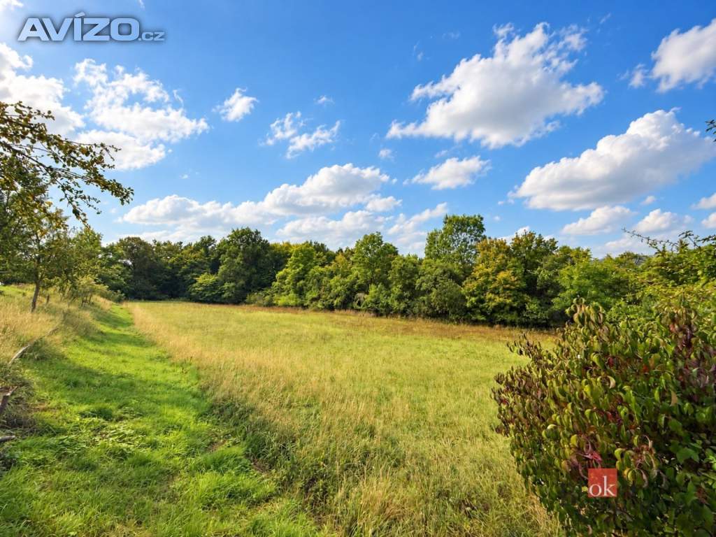 Foto inzerátu Prodej stavebního pozemku 8 750 m², Krhov