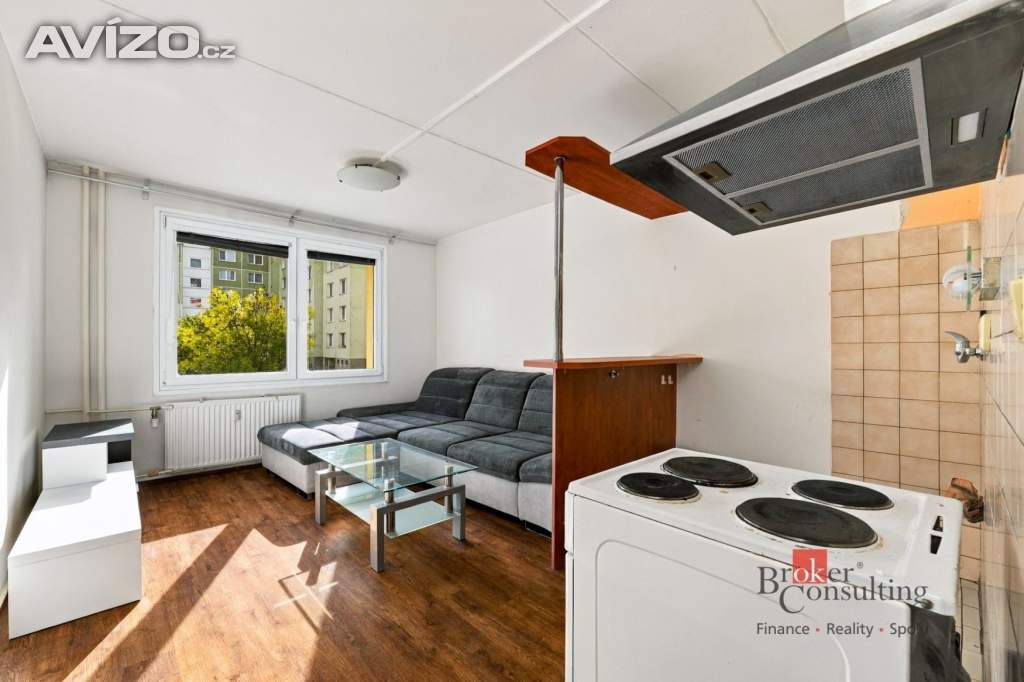 Foto inzerátu Prodej bytu 1+1 48 m², Plzeň