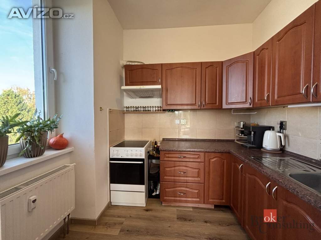 Foto inzerátu Prodej bytu 1+kk 45 m², Litultovice
