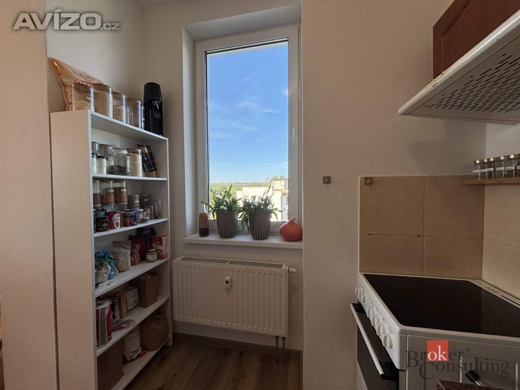 Foto inzerátu Prodej bytu 1+kk 45 m², Litultovice