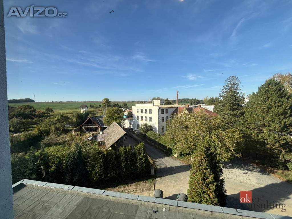 Foto inzerátu Prodej bytu 1+kk 45 m², Litultovice