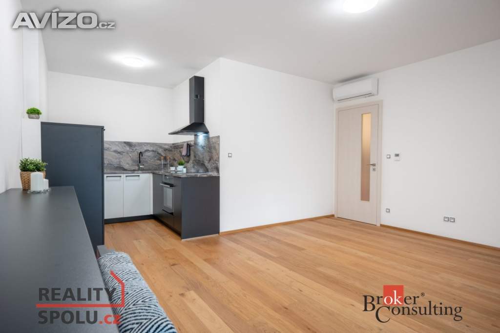 Pronájem bytu 1+kk 56 m², Brno
