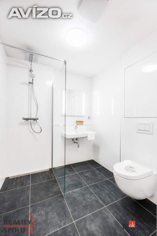 Foto inzerátu Pronájem bytu 1+kk 56 m², Brno