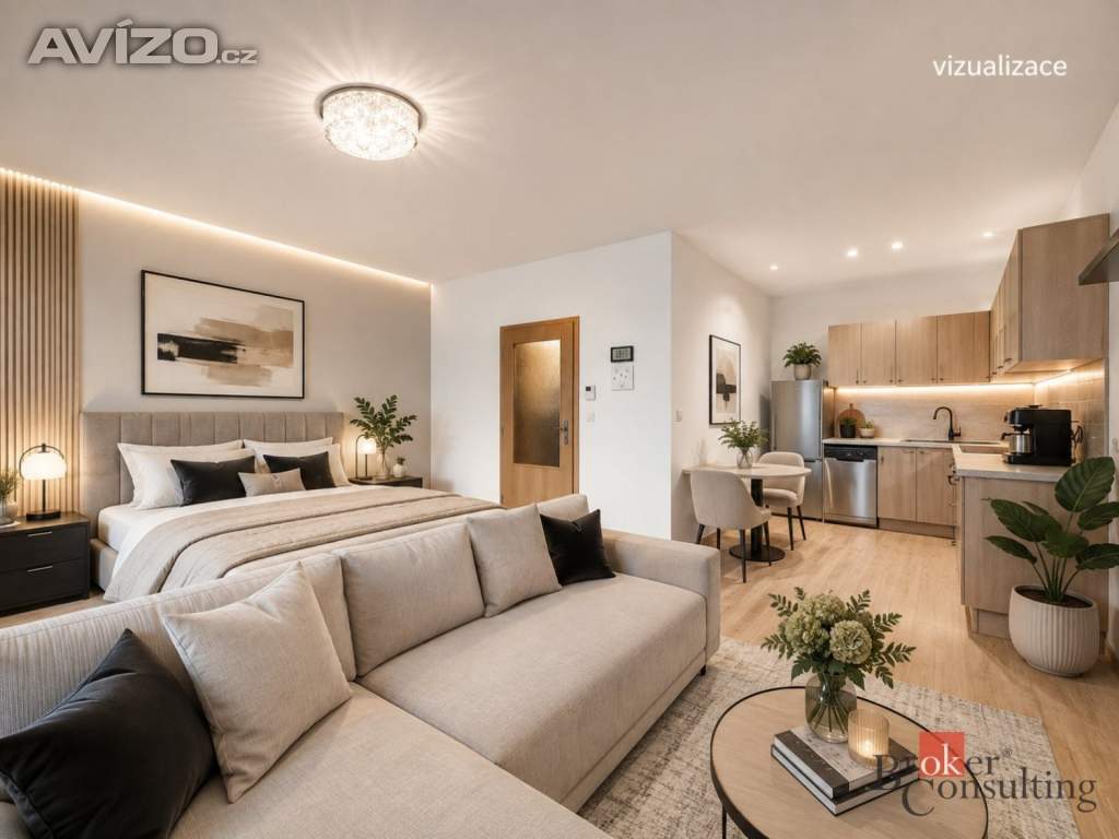 Prodej bytu 1+kk 40 m², Brno