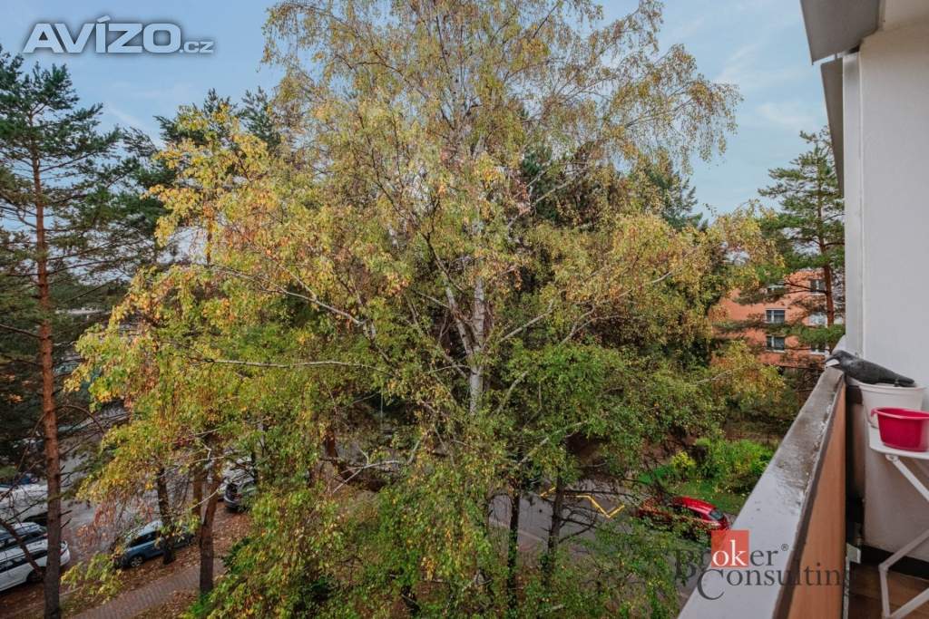 Foto inzerátu Pronájem bytu 2+kk 62 m², Brno