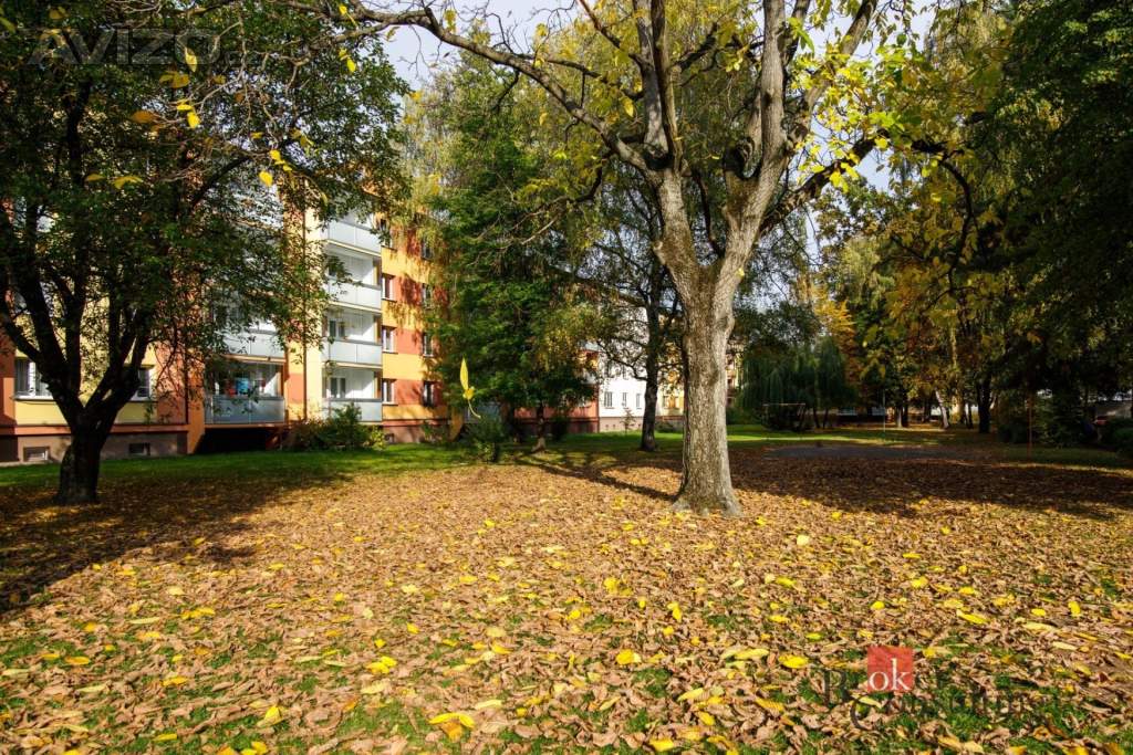 Foto inzerátu Prodej bytu 3+1 61 m², Ostrava