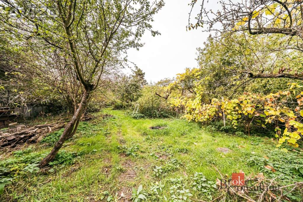 Foto inzerátu Prodej chaty 50 m², Želešice