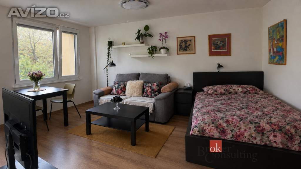 Pronájem bytu 1+kk 27 m², Praha